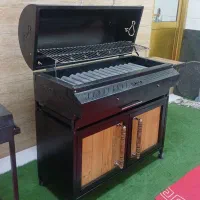 باربیکیو گازی. ذغالی. ودوکاره