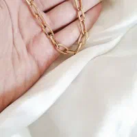 بدلیجات هلندی