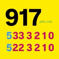 جفت باهم بفروش می‌رسد