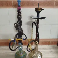 قلیان وولف کاملا سالم همراه تنه چوبی پنج ساله اسب