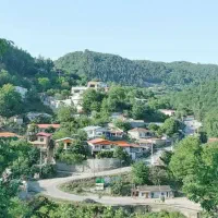 فروش زمین سوادکوه روستا امیرکلا