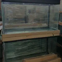اکواریوم غاب دار یک متری دلسا