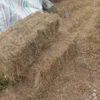 علوفه بسته بندی