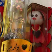 عروسک|اسباببازی|تهران, تختی|دیوار