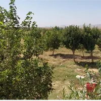 استخدام باغبان دامدار کشاورز از تهران