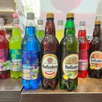 ویزیتور بومی شهرستان