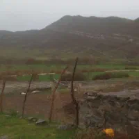 بنایی و جدول کاری