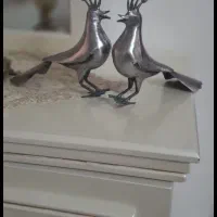 علامت یک جفت شانه به سر