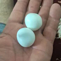 سنگ اسیاب سفیدگرد