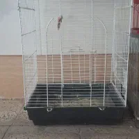 قفس پرنده