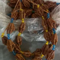 فروش میخک
