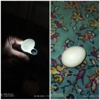 سنگ قدیمی آنتیک
