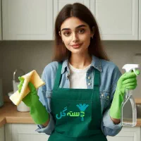 شرکت خدماتی نظافتی ستارگان نیرو خانم و آقا