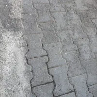 زمین جواز دار تک برگ