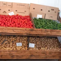 طبق میوه