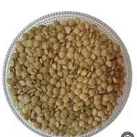 200کیلوعدس تمیز و خوشپخت‌. 250