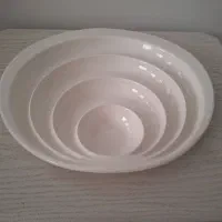 ظرف پذیرایی(اردوخوری)