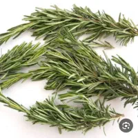 زرماری با بوی عالی