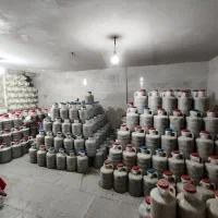 فروش عمده خیارشورقیمت عالی