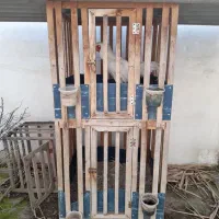 گنجه خروس لاری