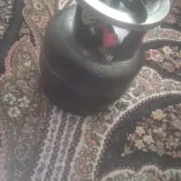 پیکنیک نو
