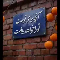 یک عدد شناسنامه گمشده