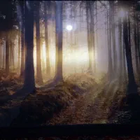 تابلو چراغ دار منظره دار ۱۰۰/۷۰ اندازه