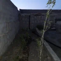 زمین باغی قز