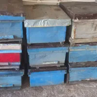 گرمی