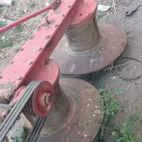 علف زن گیاه دور