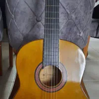 گیتار دایمون به همراه کیف