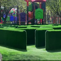 تاب وسرسره های پارکی باایمنی بالا