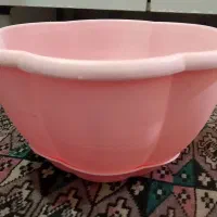 گلدان|گل و گیاه طبیعی|زابل, |دیوار