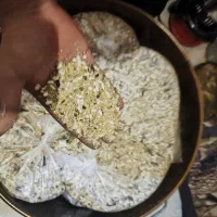 هفت تخم پرندگان ( درجه 1 )