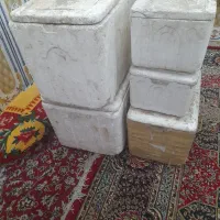یخدان ماهی
