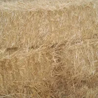 فروش پرس کاه گندم