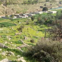 زمین پشکر