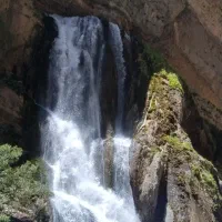 سفتکاری