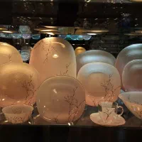 سرویس آرکوپال، آرکوپیرکس، استون ور، ۴۶ پارچه