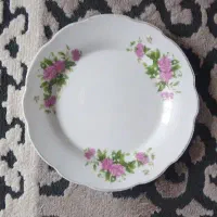 22 عدد پنیر خوری گل سرخ کلکسیونی