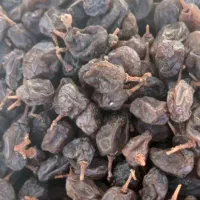کشمش|خوردنی و آشامیدنی|سراب, |دیوار
