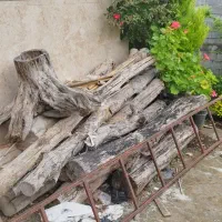 فروش چوب