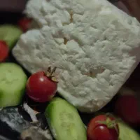 ماست و پنیر خانگی