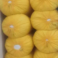 بالش نه کیلویی با مرغوبترین پر