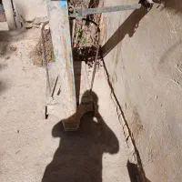 سلام یک عدد باسکول قدیمی