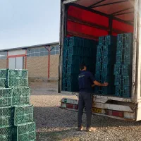 سرپرست کارگر بارگیری