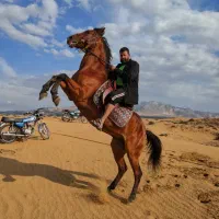 عشق بازان کرد