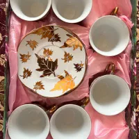 فنجان و نعلبکی چینی Peach با جعبه کادویی