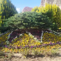 مشاوره تخصصی خدمات باغبانی و فضای سبز