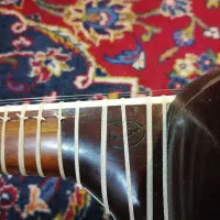 تار حرفه ای صفری